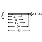 Coilnagel